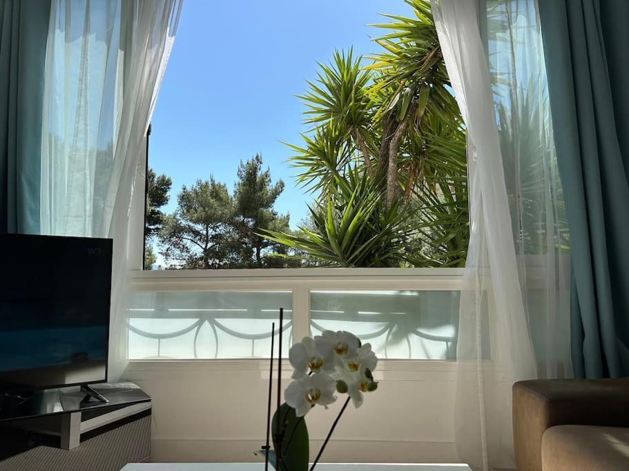 Neuf, 2 Chambres, Climatise, Route Des Sanguinaires Apartment