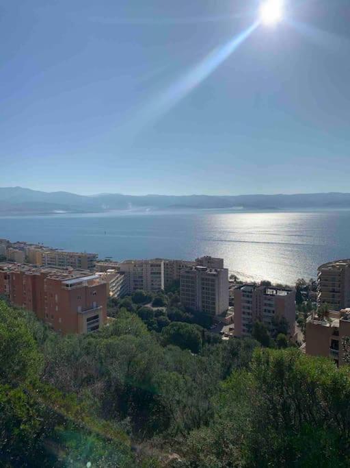 Neuf, 2 Chambres, Climatise, Route Des Sanguinaires Apartment